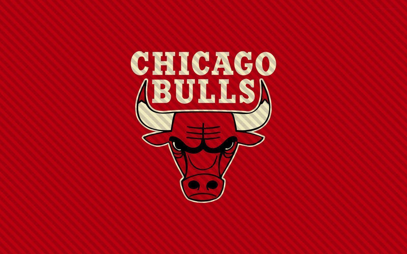 Bulls Logo Red Background Wallpaper