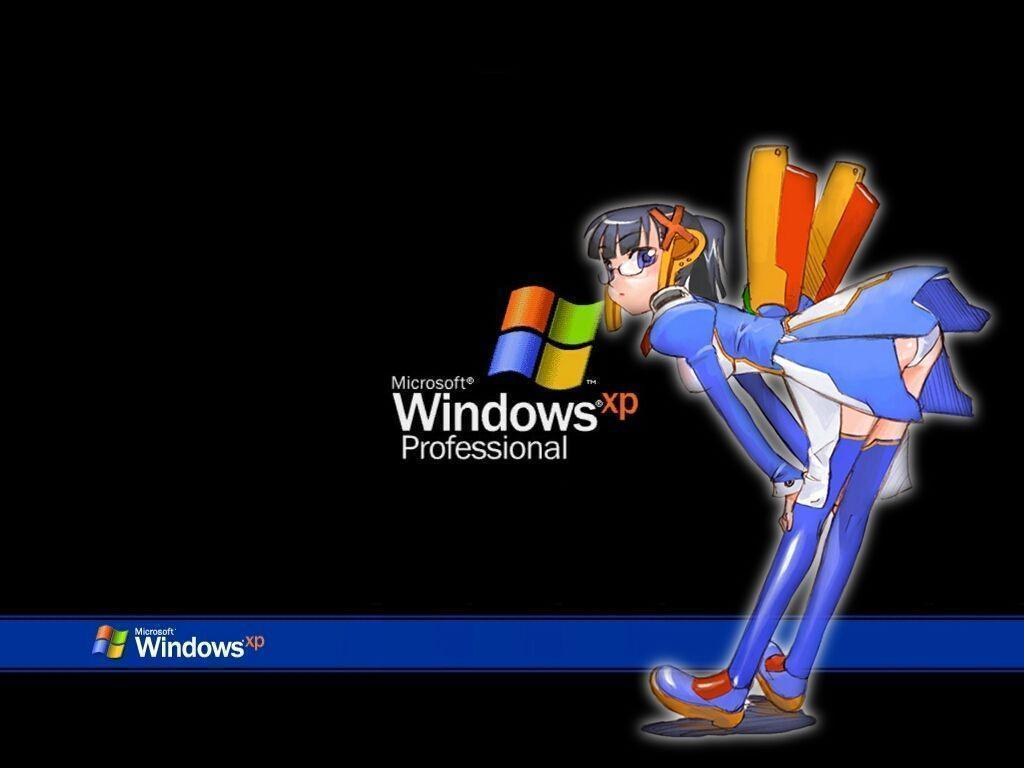 Microsoft Windows Xp Professional Your HD Wallpaper 1024x768PX