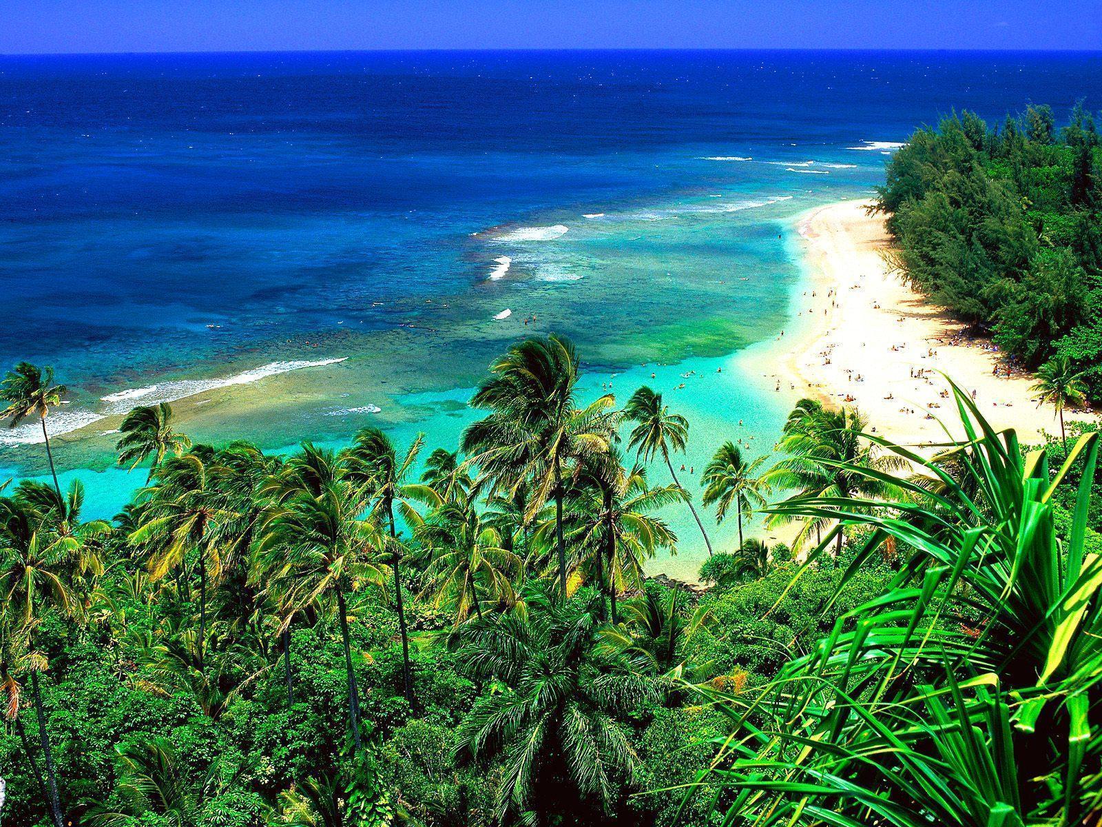 Download The Hawaiian Hawaii Beach Wallpaper HD 1024x576PX