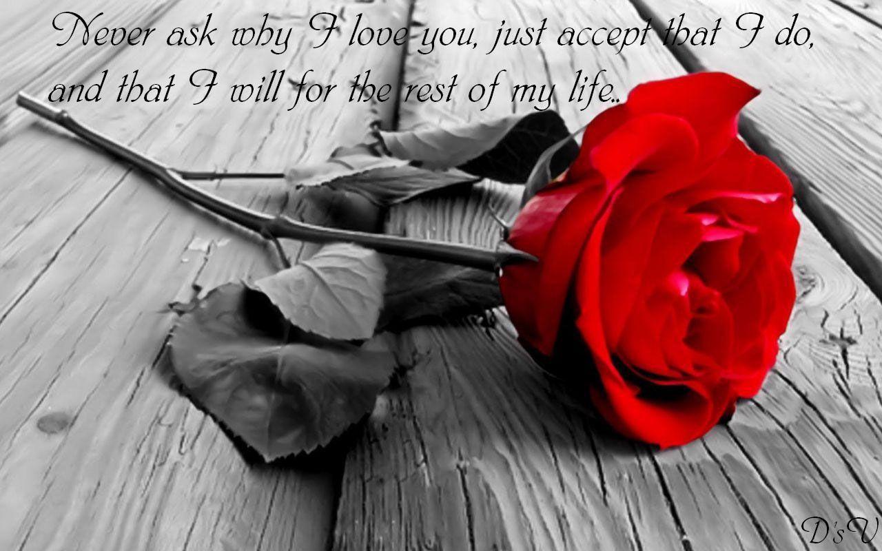 Most Beautiful Love Quotes Wallpaper, Image & Picture. Download