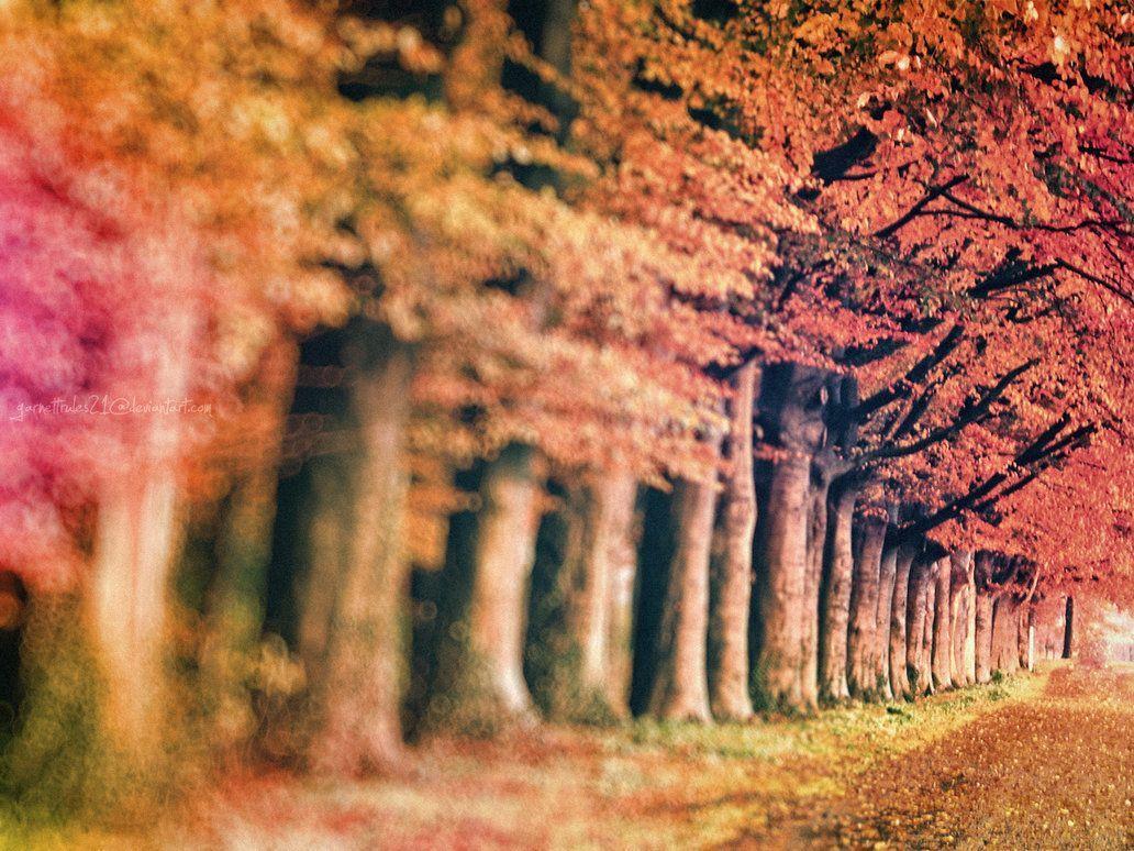 pretty_wallpaper_for_fall (1).com Source of High