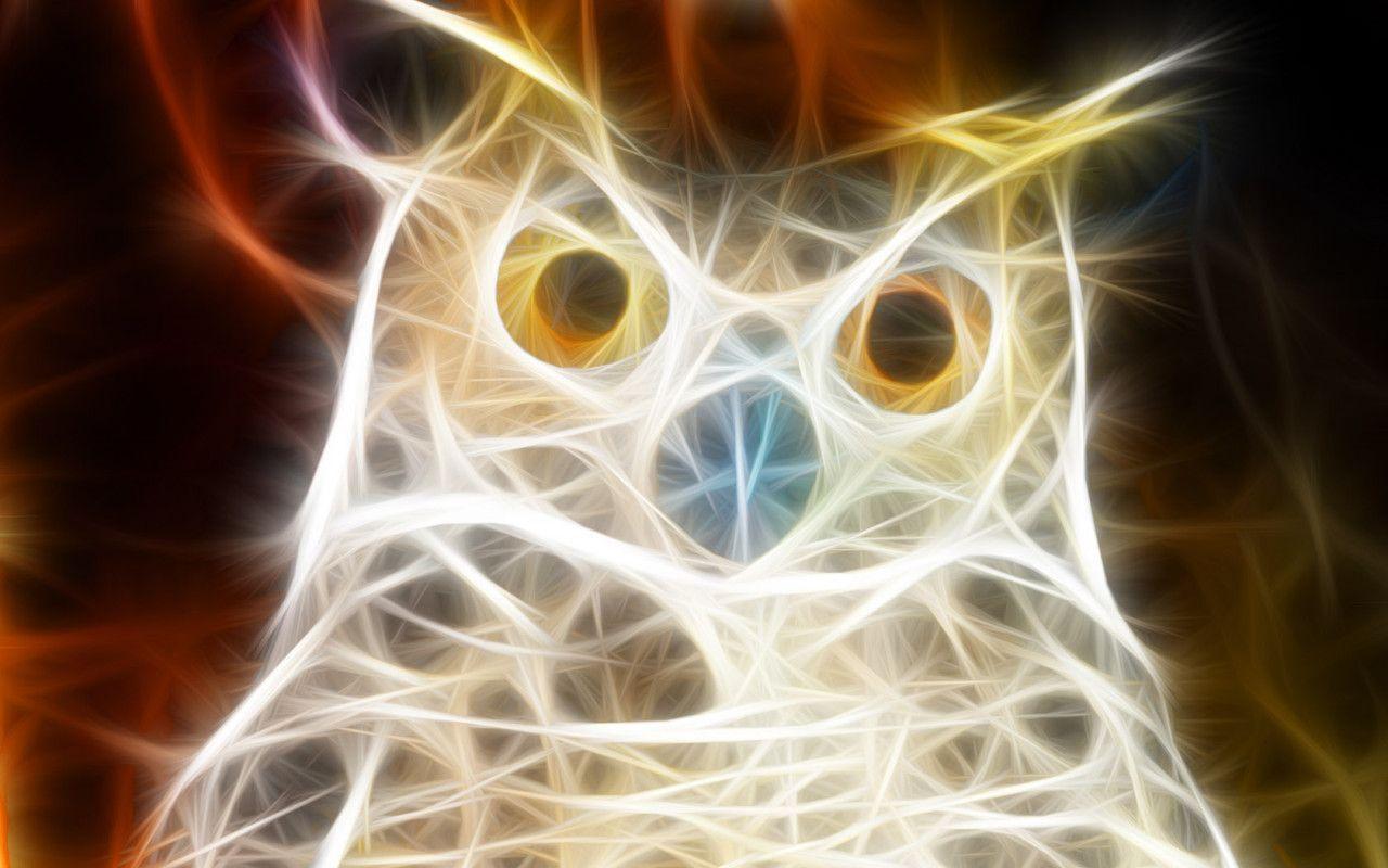 image For > Owl Desktop Background
