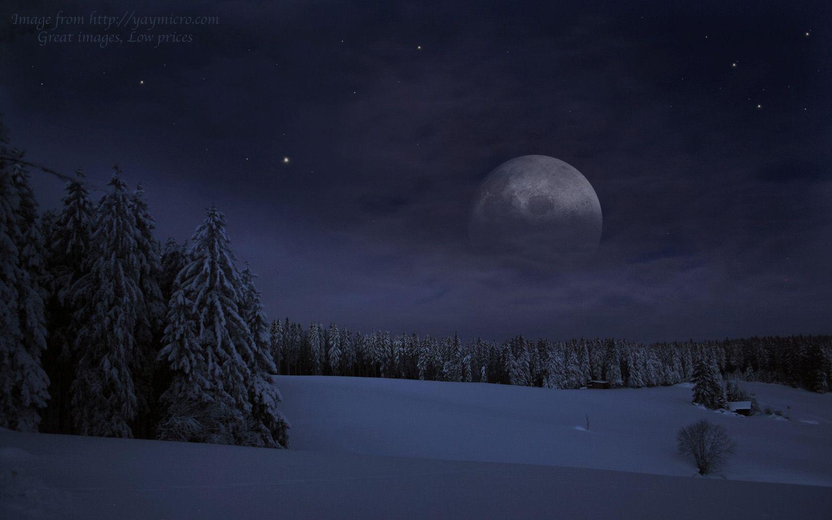 Dark forest wallpaper 1080p moon dark snowy forest 