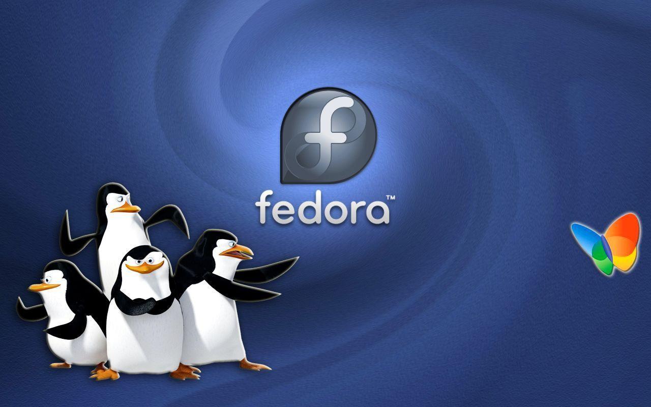 Fedora Linux. Wallpaper HD Free Download