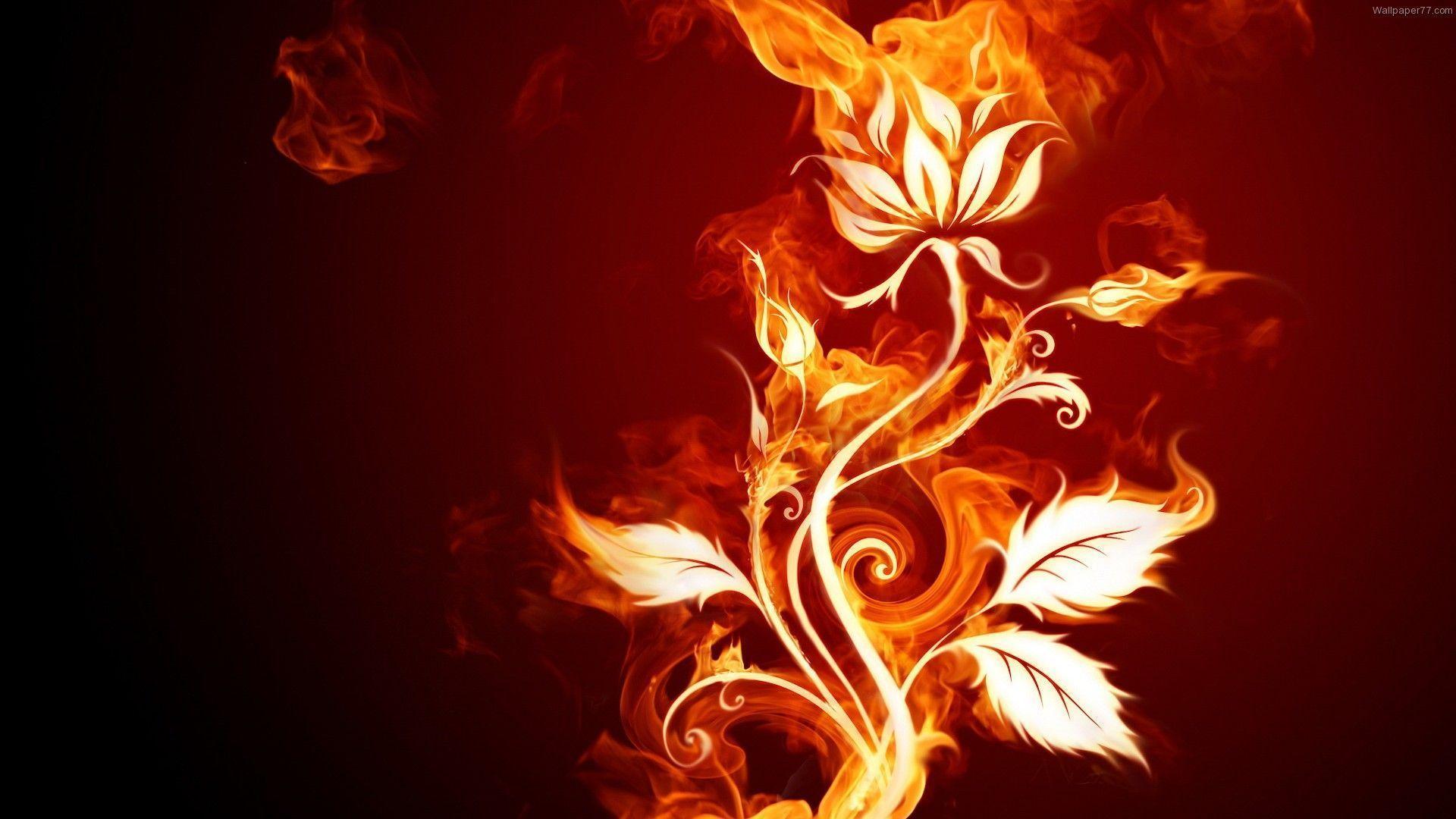 Fire Flower Abstract Desktop Wallpaper HD