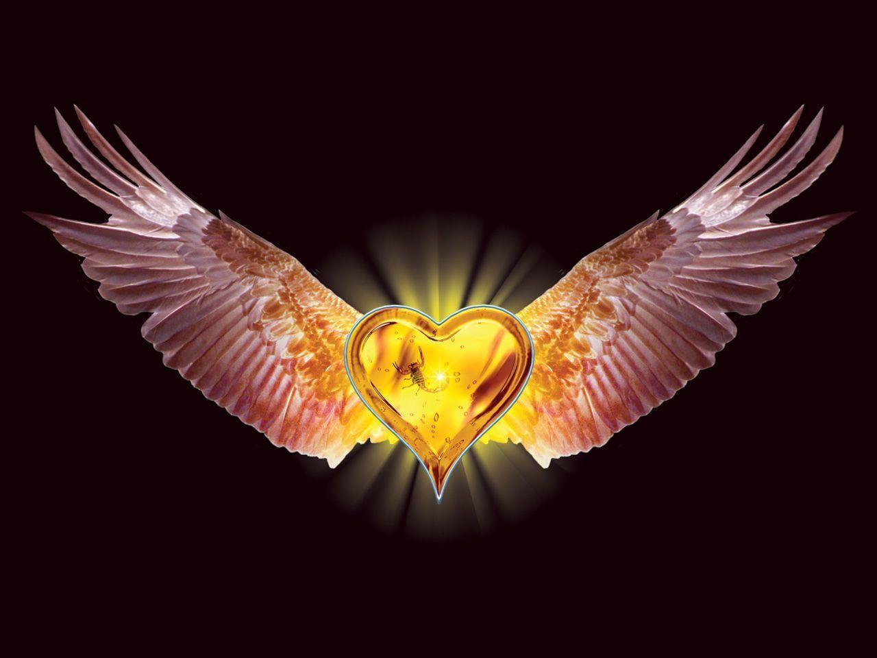 Free desktop wallpaper, Stratovarius Eagle heart Wings valentine
