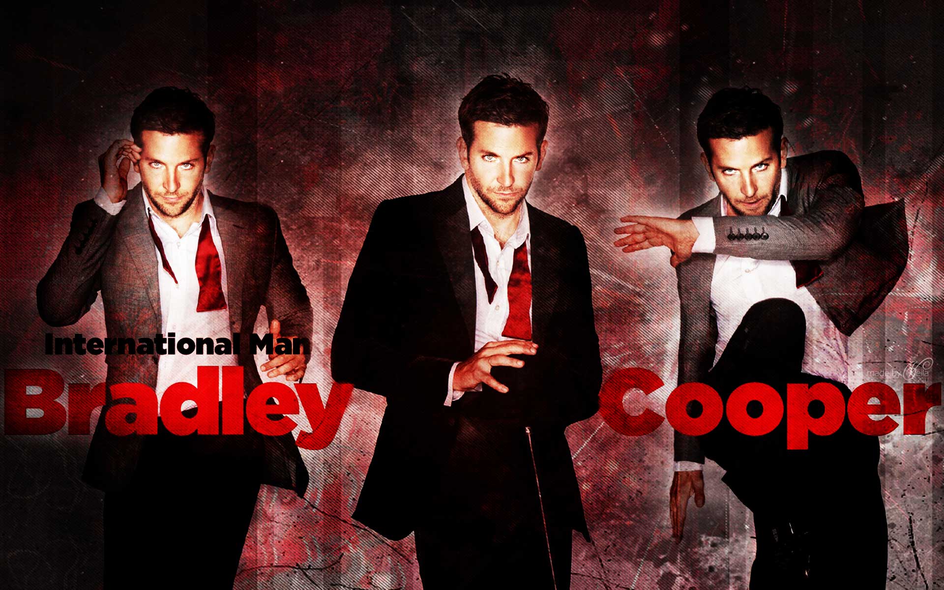 Bradley Cooper Wallpaper HD wallpaper search