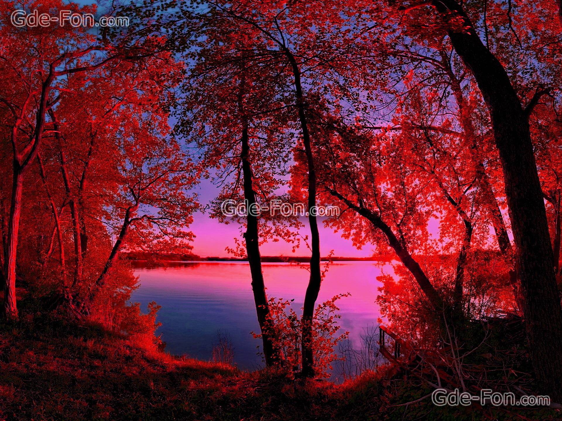 Download wallpaper nature, lake, Morning, crimson free desktop