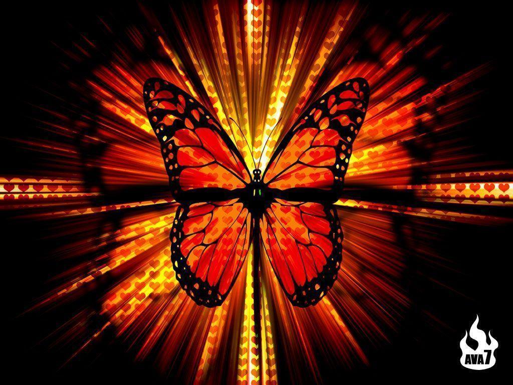 Cool Butterfly Background Image & Picture