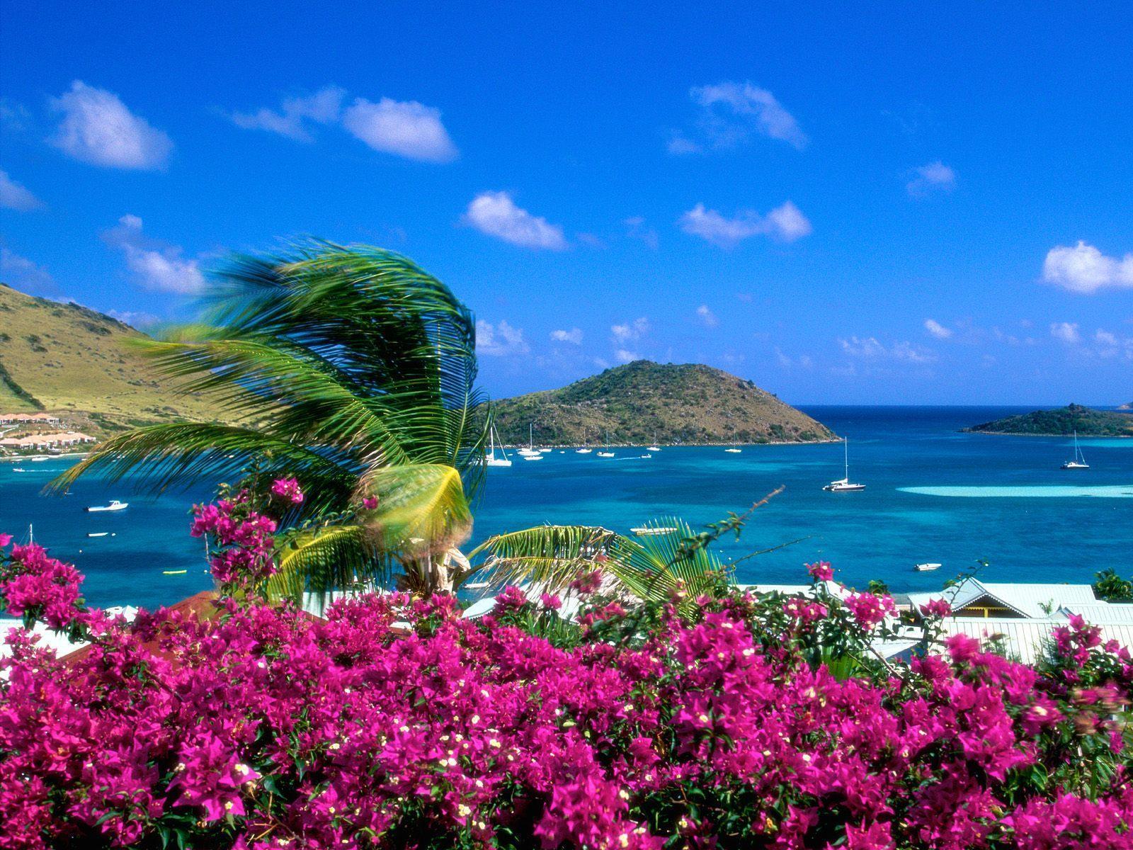 Saint Martin beach free desktop background wallpaper image
