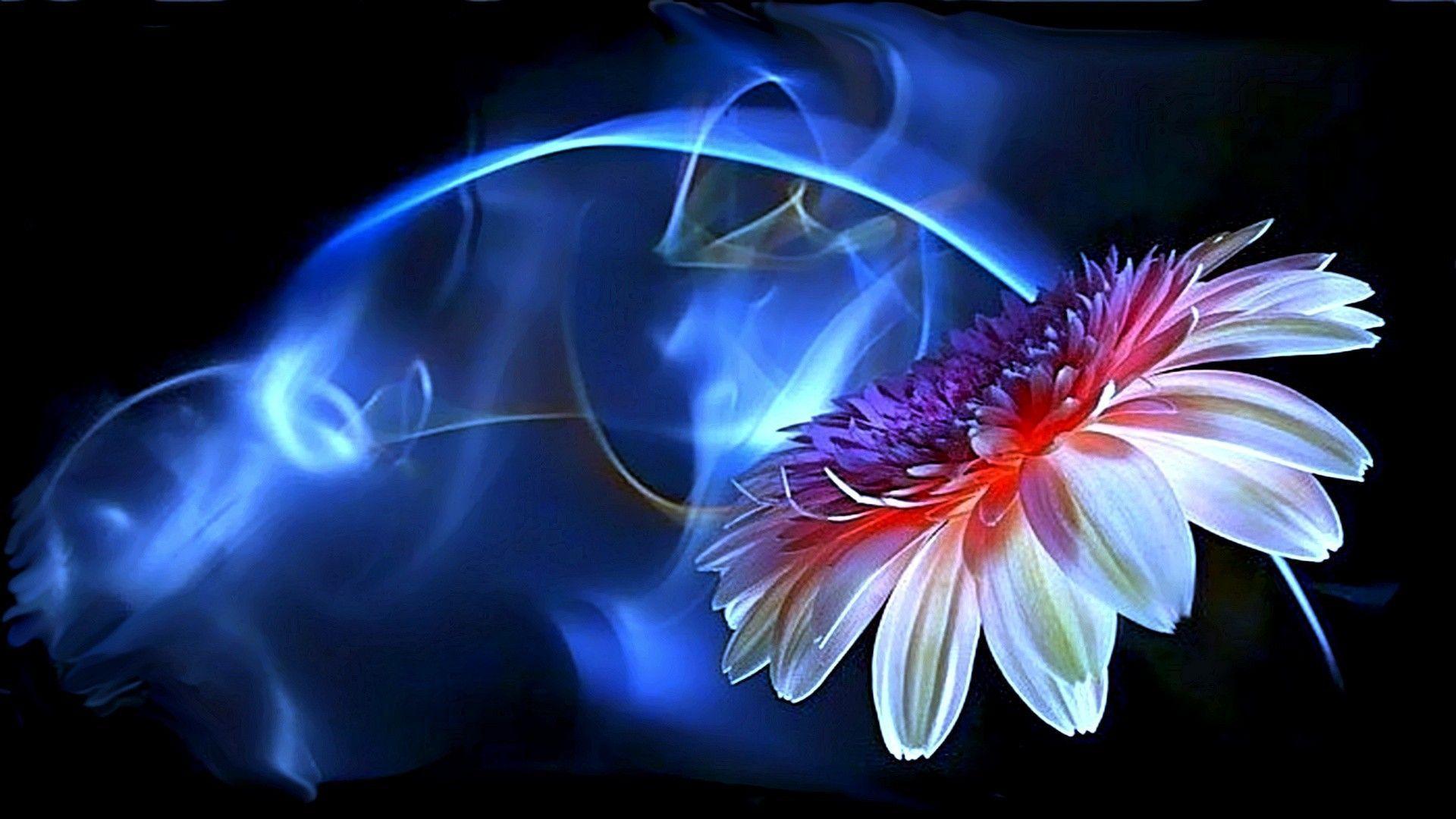 Neon Flower Photo HD Wallpaper Desktop