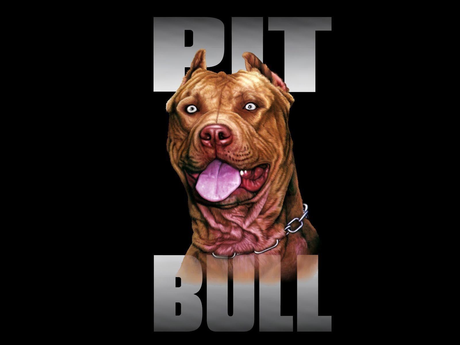 Wallpaper For > Pitbull Dog Wallpaper Background