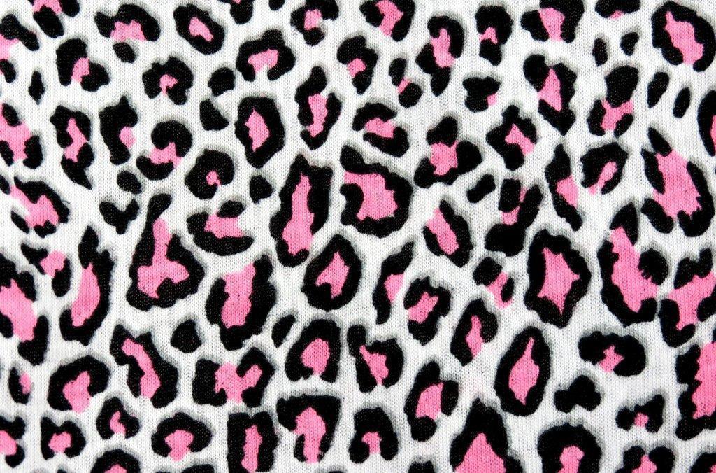 Leopard Print Wallpaper (82 Wallpapers) – HD Wallpapers