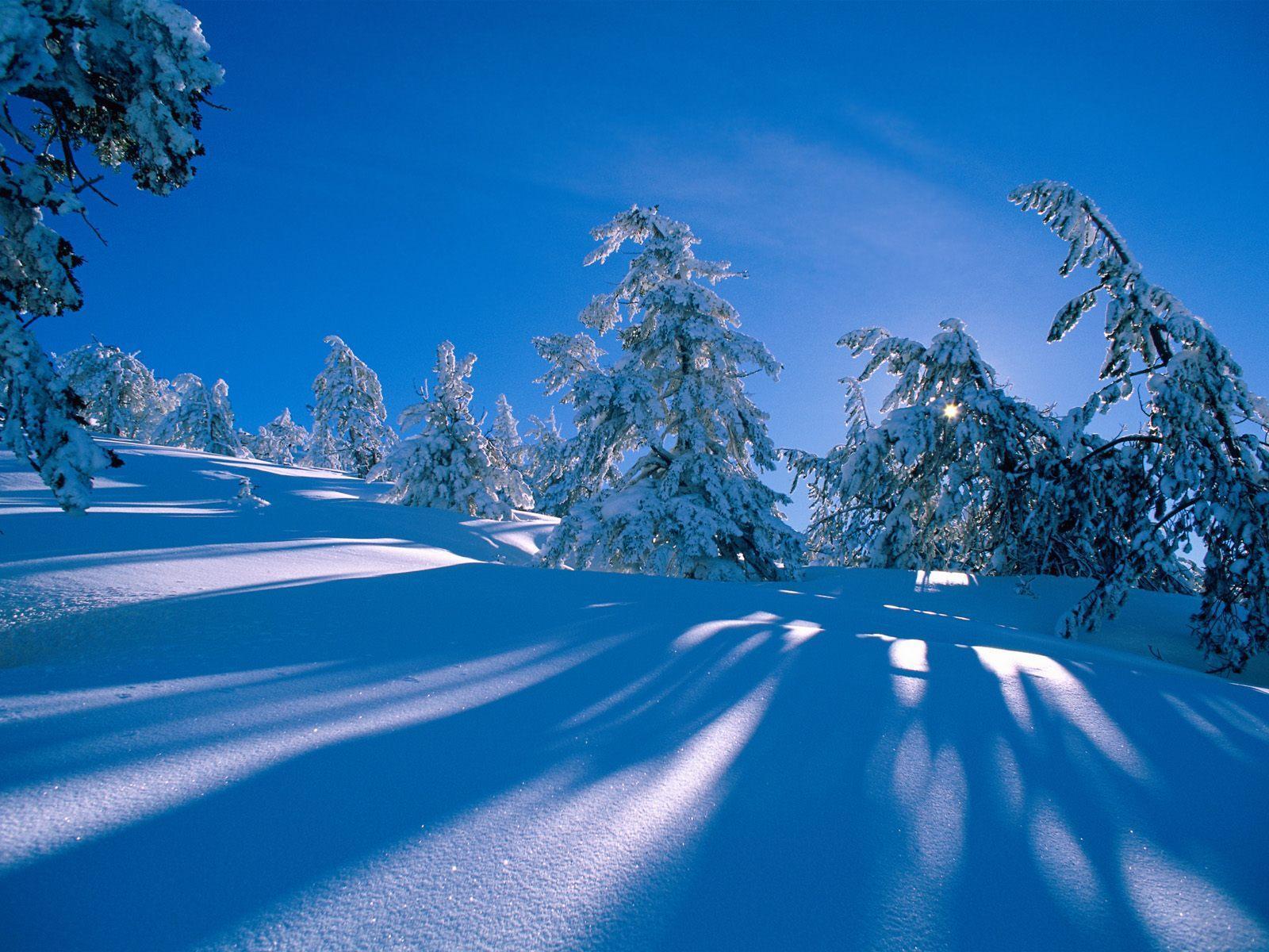 Snowy shadows snow wallpaper free desktop background