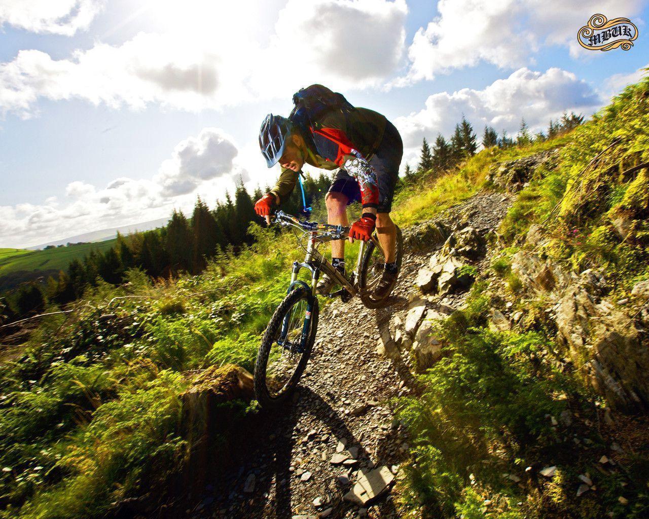 Mountain bike, downhill wallpaper + Life cicles AVI!