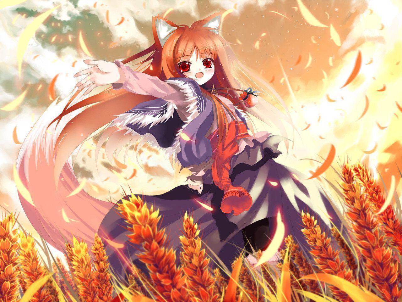 Download Muryou Anime Spice And Wolf Horo Wallpaper 1280x960