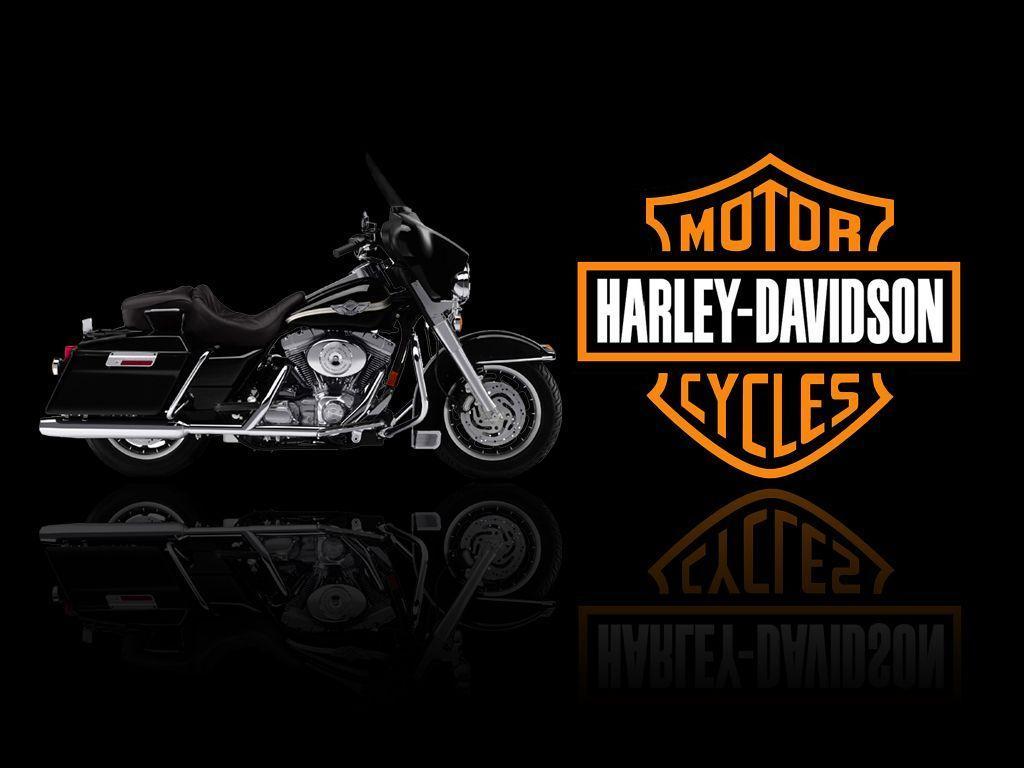 White Harley Davidson HD Wallpaper For Desktop