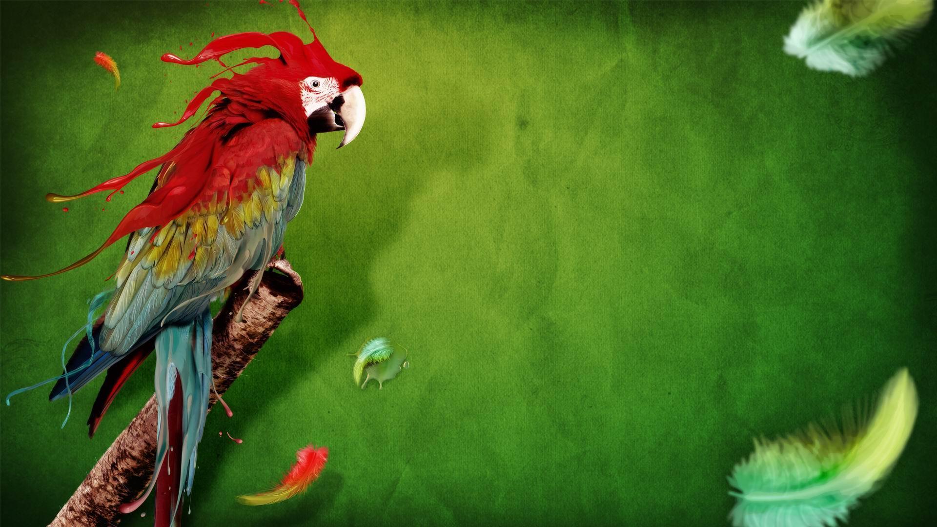 Parrot, funny, green, red, feathers, animal, background. HD