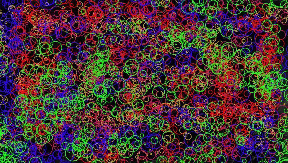 Multi Colored Bubbles (Wallpaper)