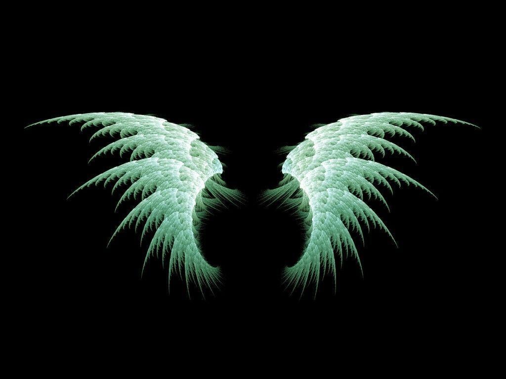 Green Angel Wings Wallpaper HD, Wallpaper, Green Angel Wings