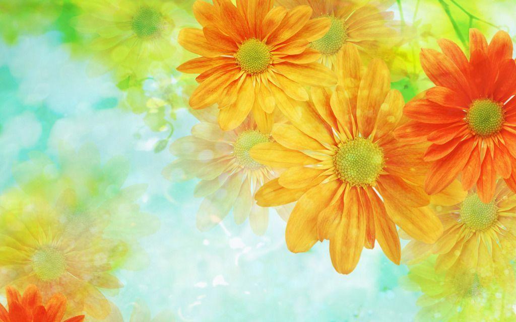 Pretty Flowers Wallpaper and Picture Items