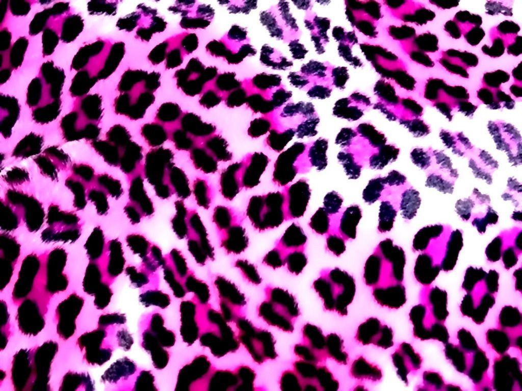 Leopard Picture and Wallpaper Items