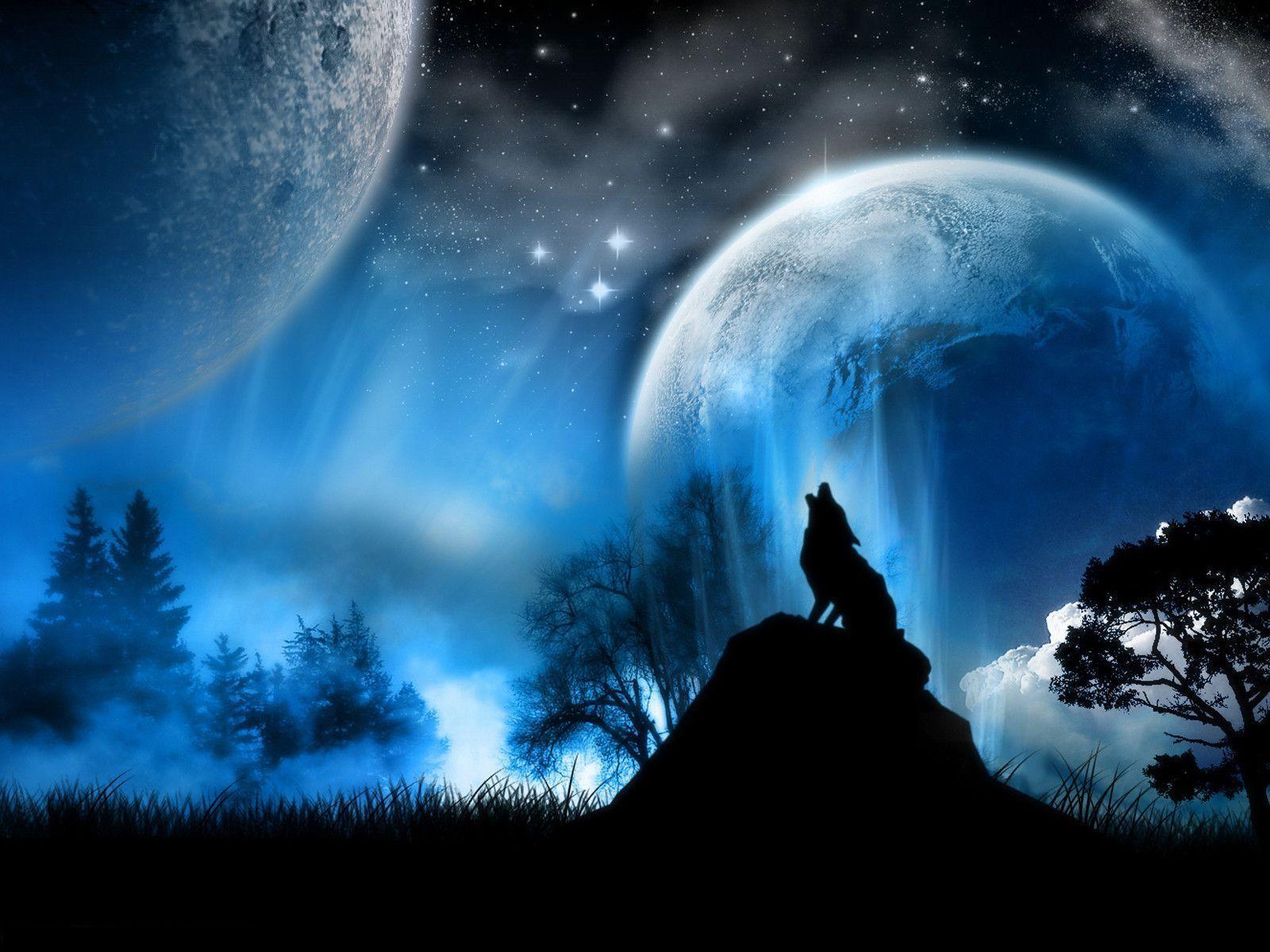 Wolf At Moonlight Desktop Wallpaper