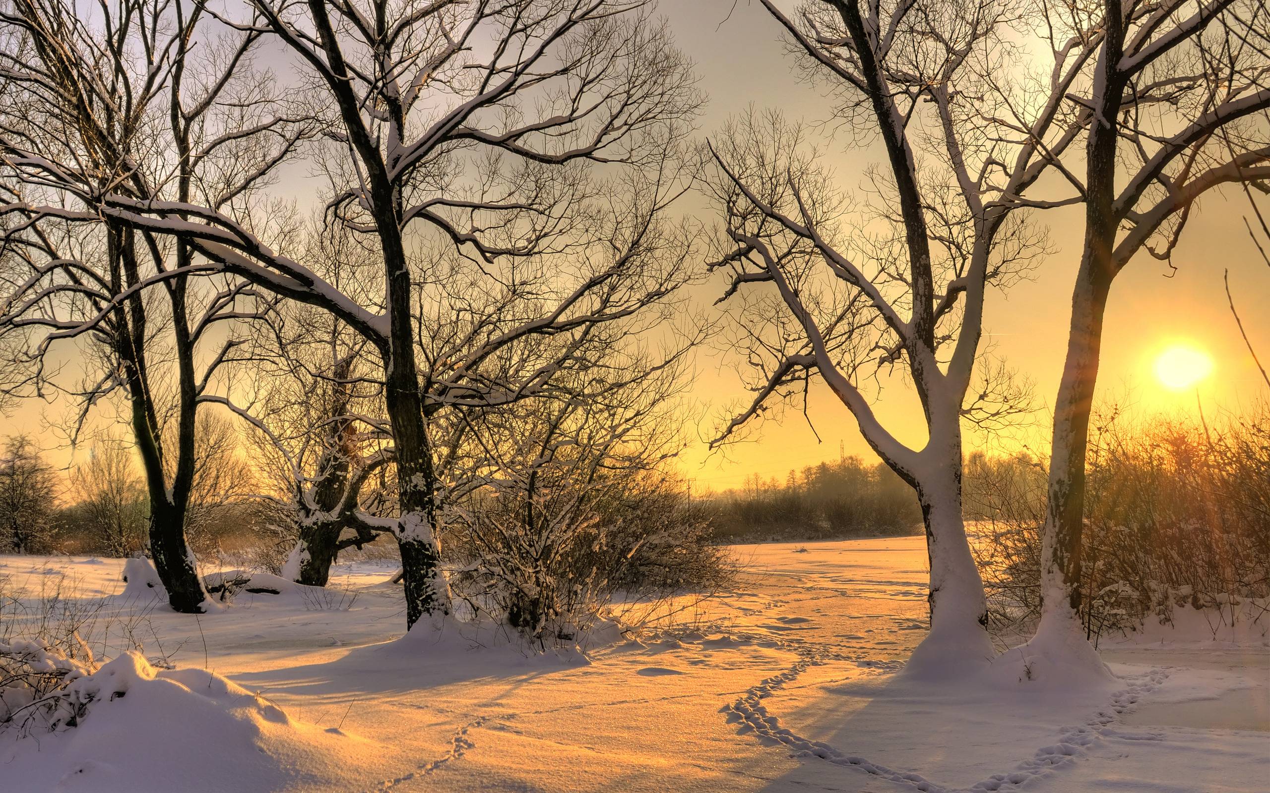 Nature & Landscape, Pretty Photograph beautiful winter sunset HD