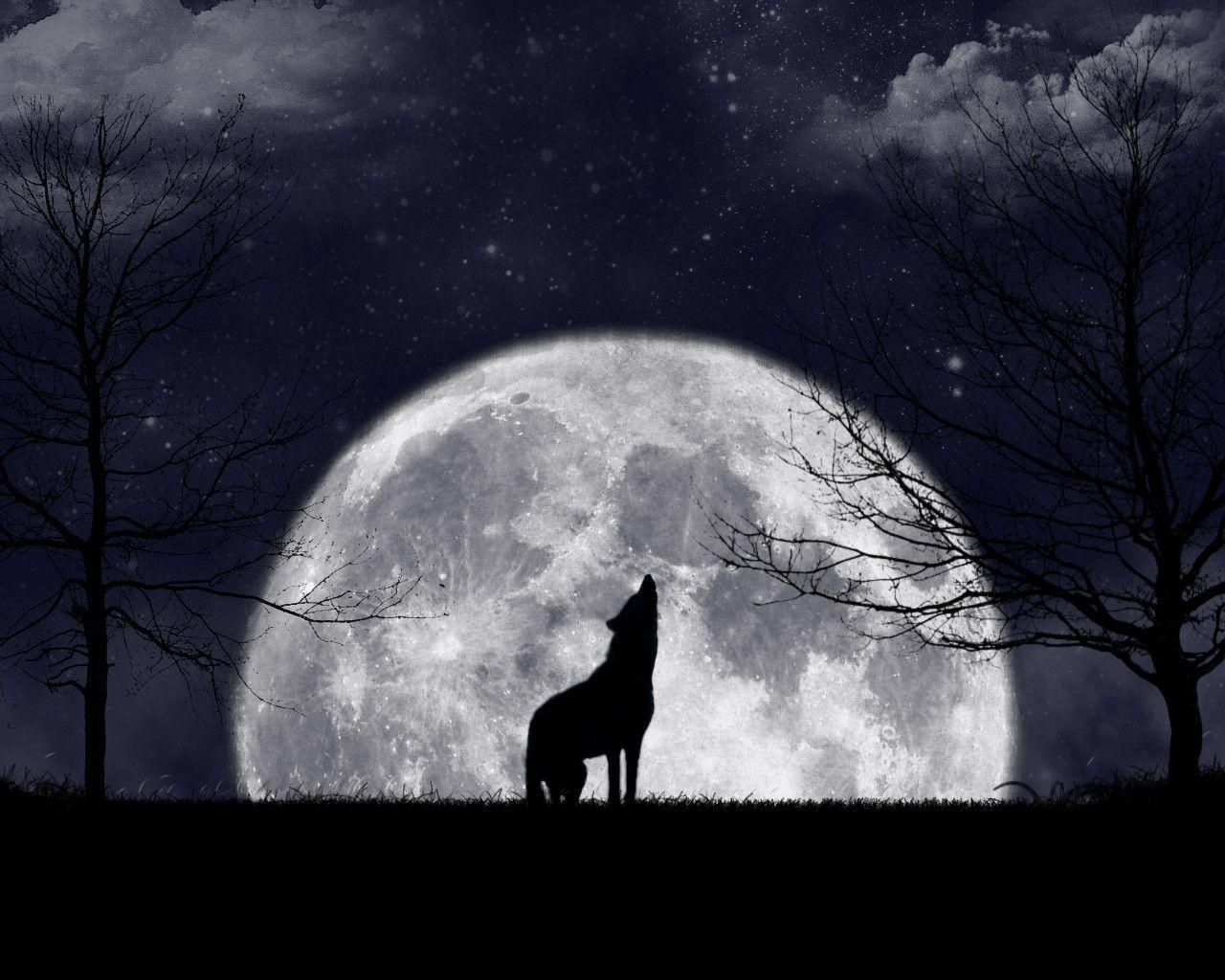 Wolf Howling At The Moon Wallpapers - Wallpaper Cave