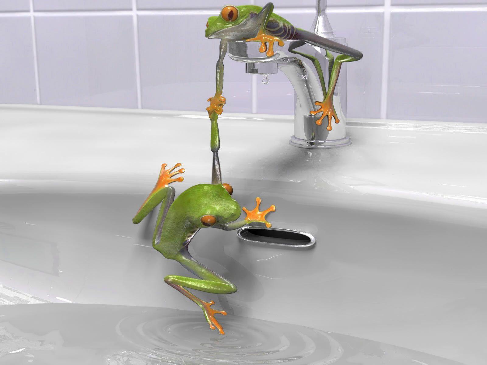 Bathroom Bathtub Cartoon Faucet Frog Frogs Funny Green Water