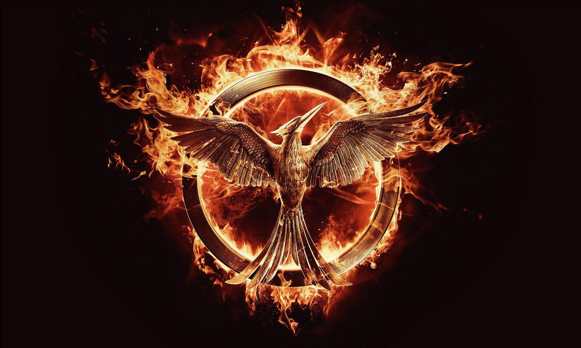 First Official HUNGER GAMES: MOCKINGJAY Part I Poster & First Look