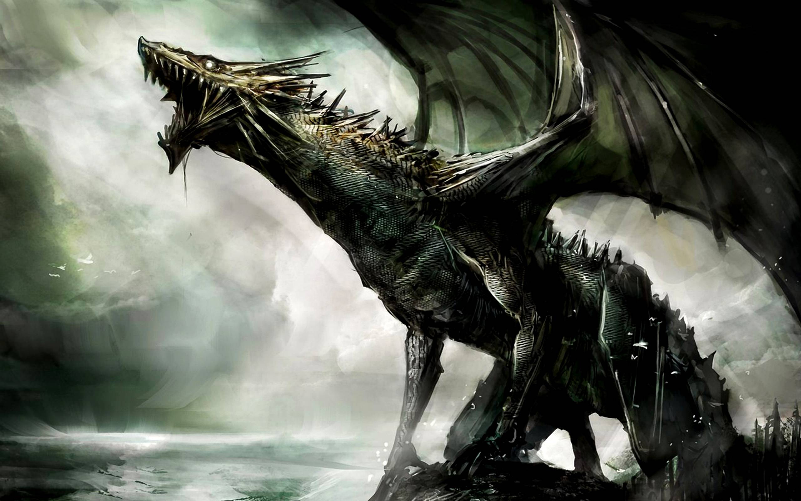 Download Fantasy Dragon Dragons Wallpaper 2560x1600. Full HD