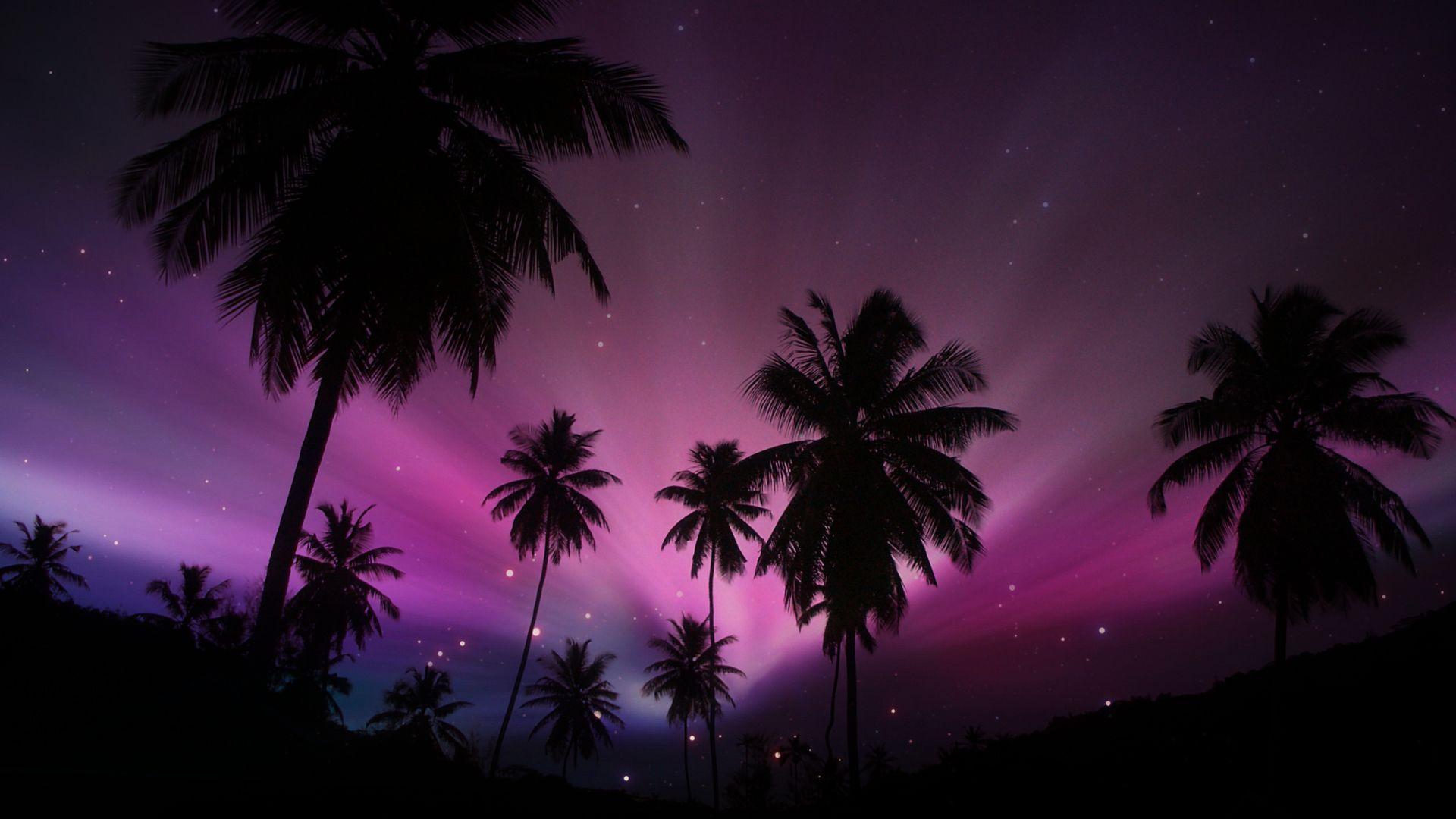 image For > Purple Palm Trees Wallpaper