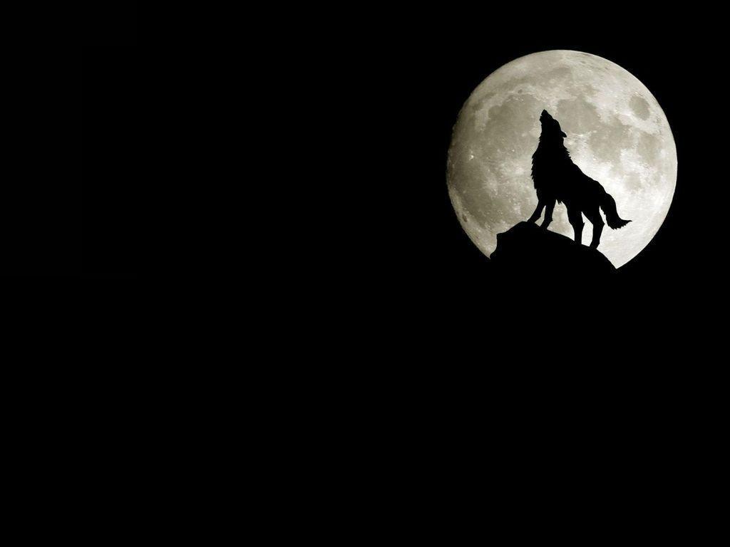 Wallpaper For > Black And White Wolf Howling At The Moon Wallpaper