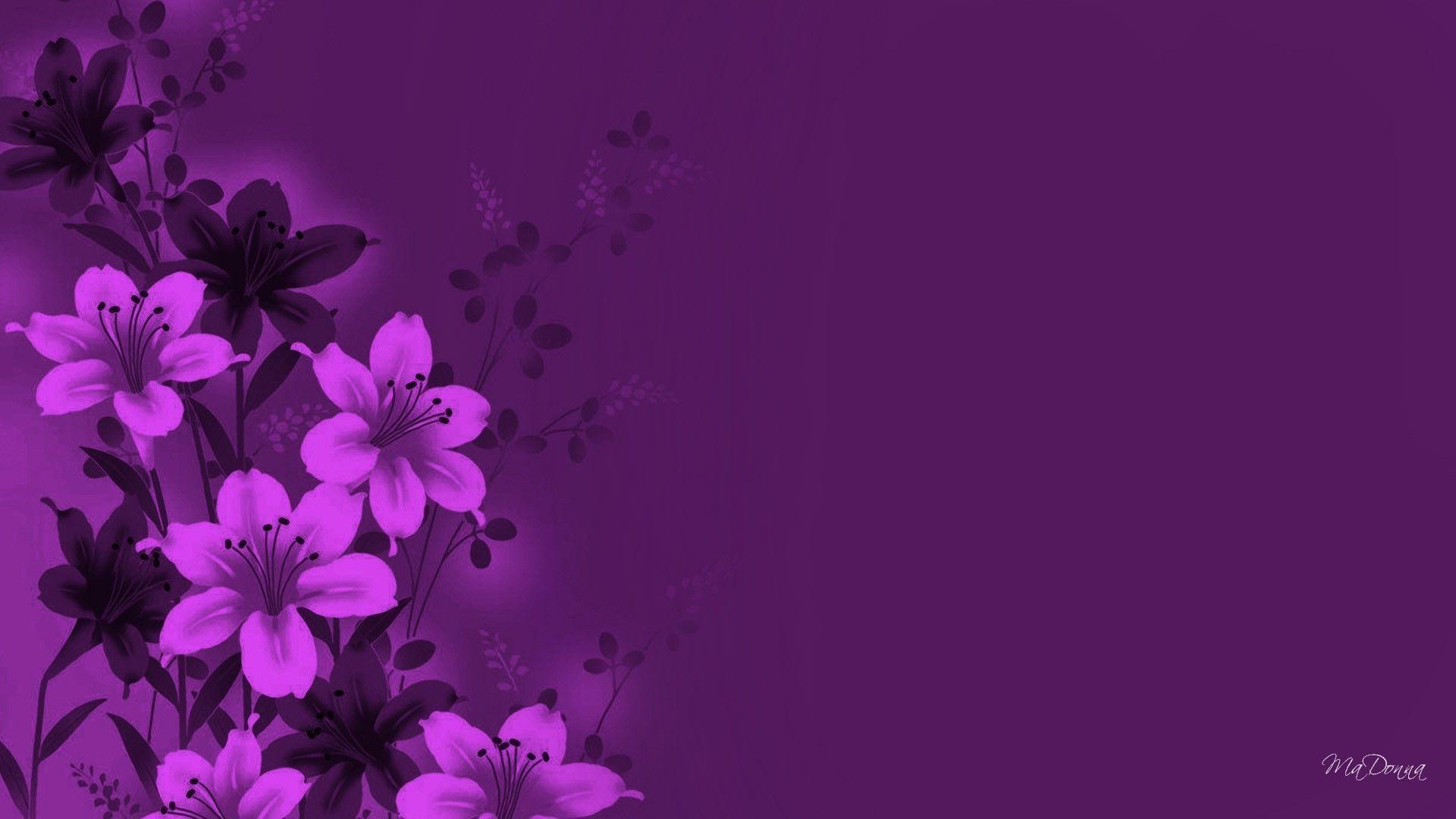 Florals in Magenta, Desktop and mobile wallpaper