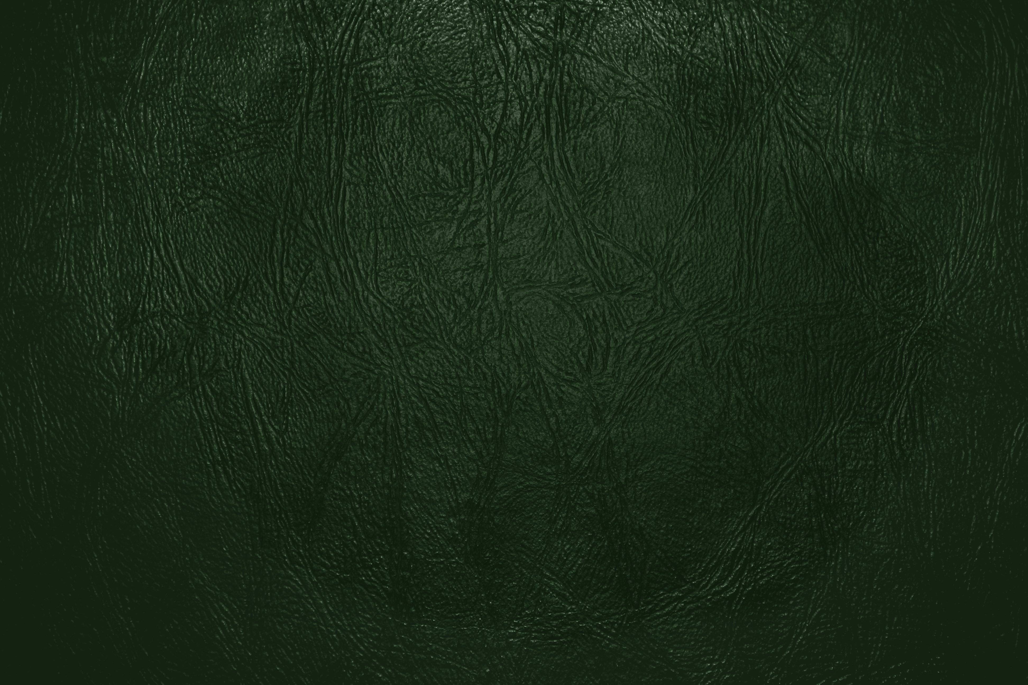 Forest Green Leather Close Up Texture Picture. Free Photograph