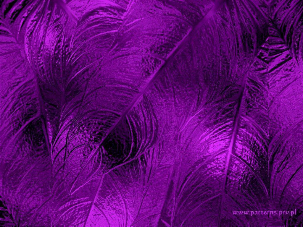 Soft Design Purple Background Wallpaper download
