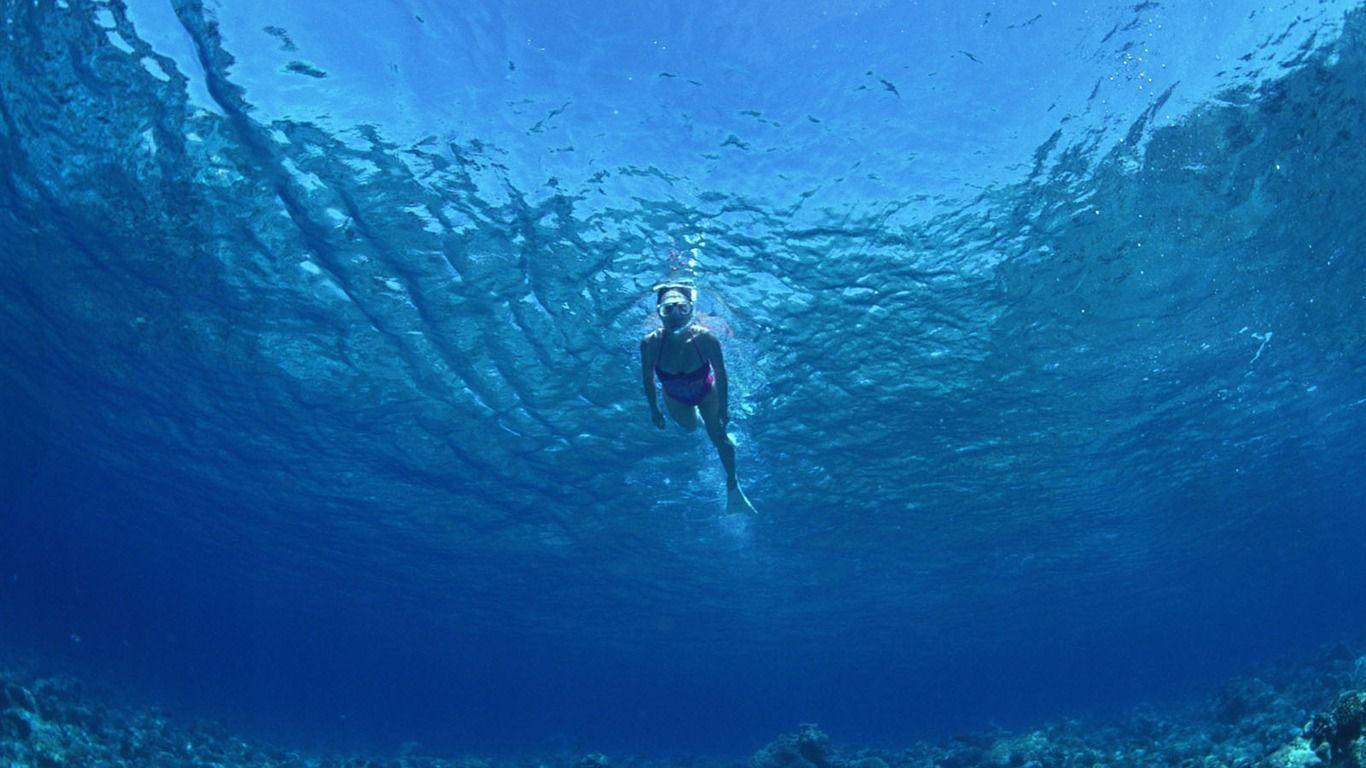 Deep Blue Underwater World Wallpaper Wallpaper