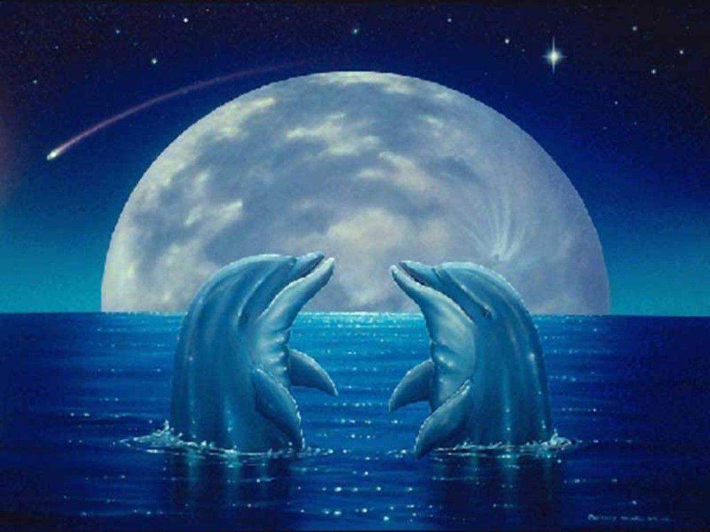 Download Cute Dolphin Imageci Wallpaper 1024x768. Full HD Wallpaper