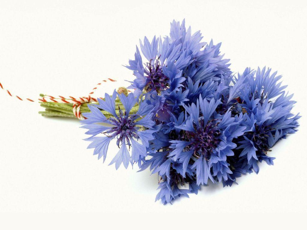 Blue Flower Bouquet Wallpaper