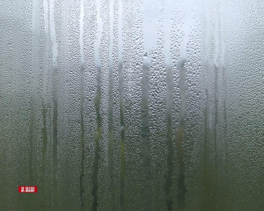 Rain Drops Wallpaper High Quality 10991 HD Picture. Best