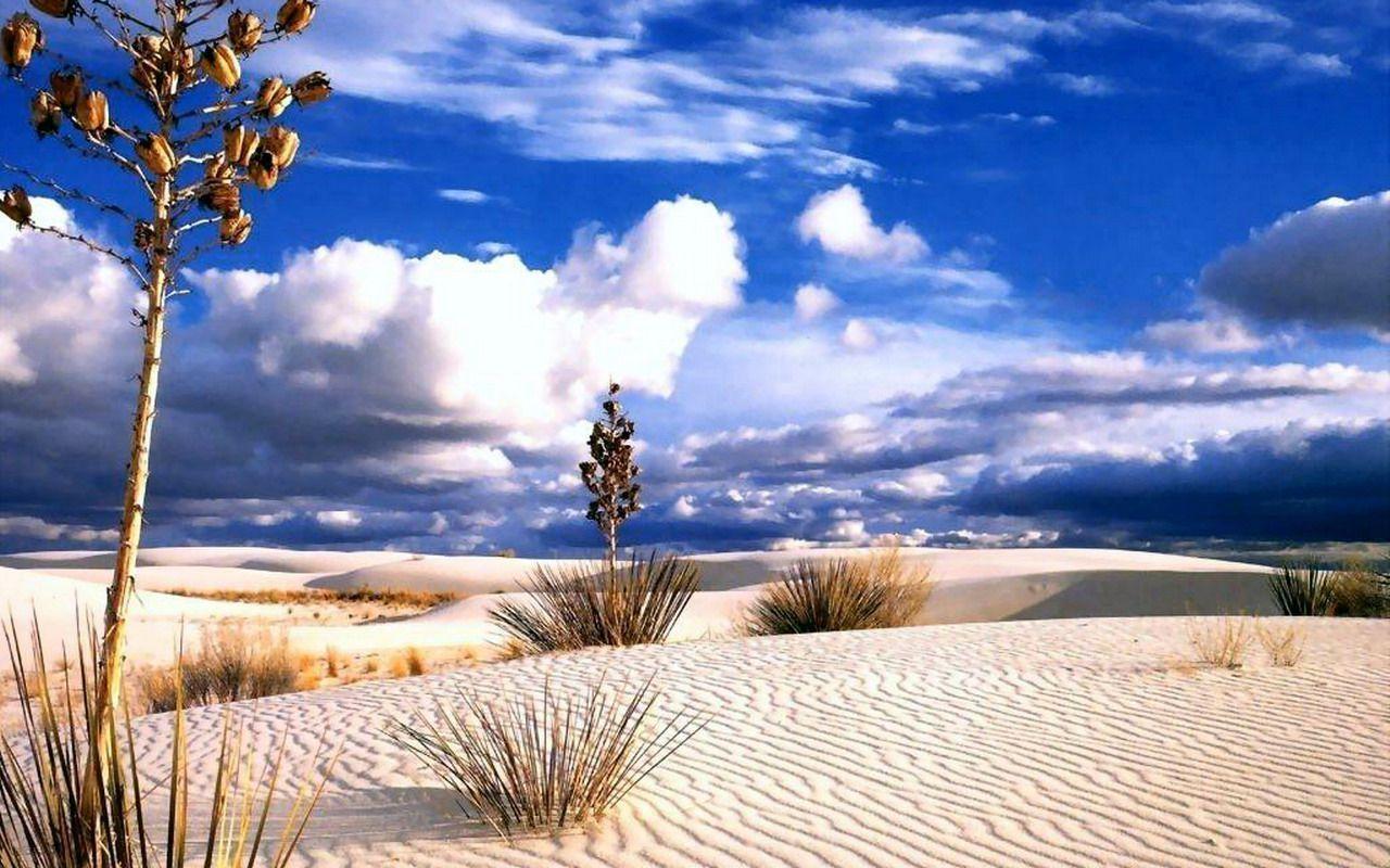 Beautiful Desert Wallpaper Image