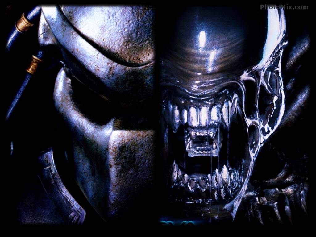 DC Movie Wallpaper Alien vs Predator