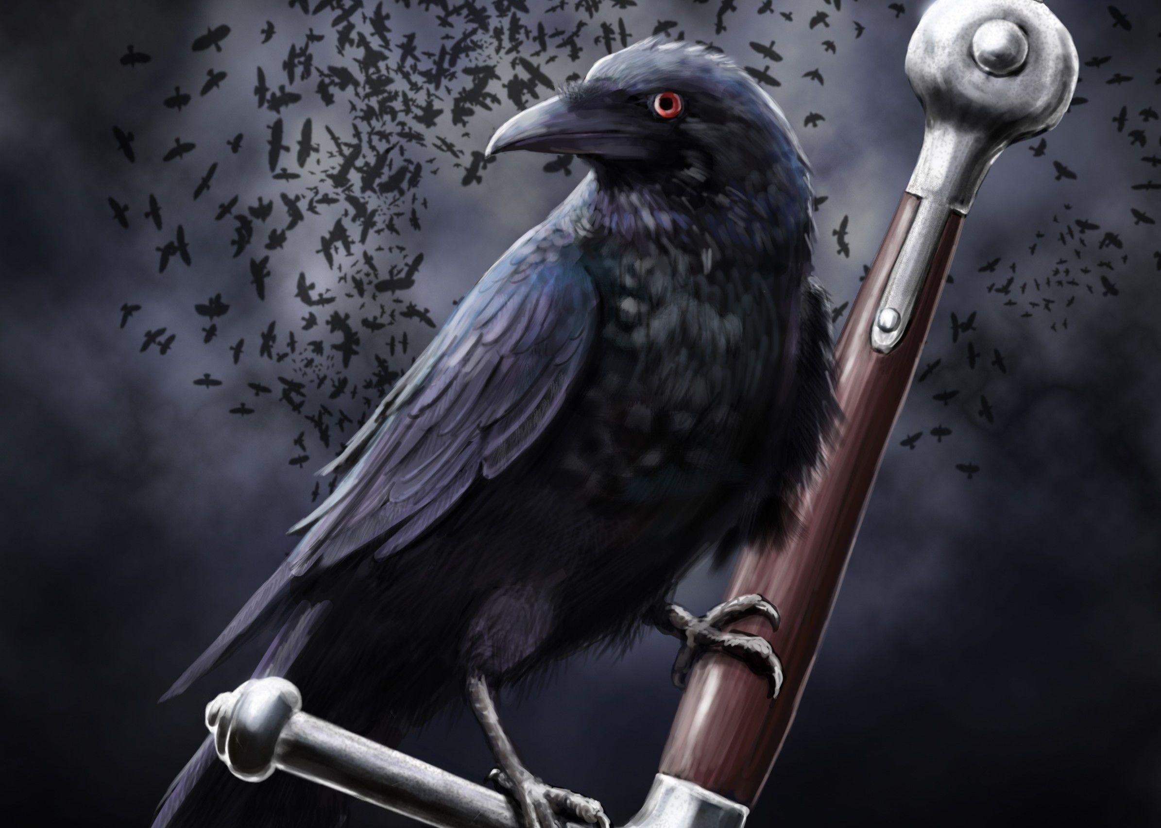 Raven Art High Quality HD Wallpaper Animal