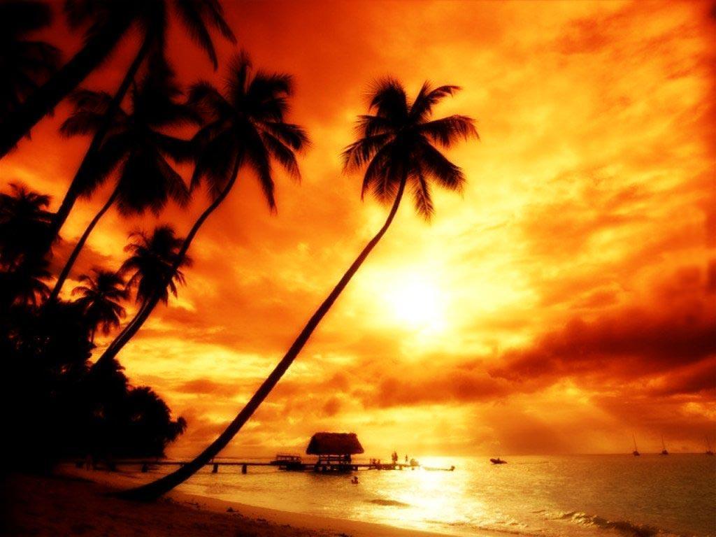Sunset Wallpaper and Picture Items