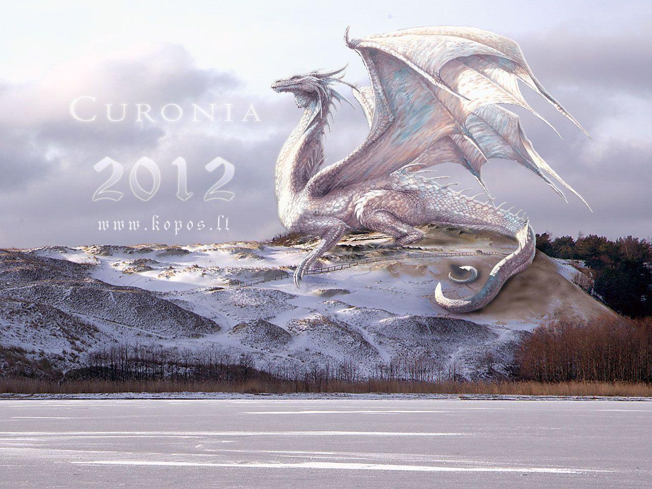 White Dragon On The Curonian Dunes 61214