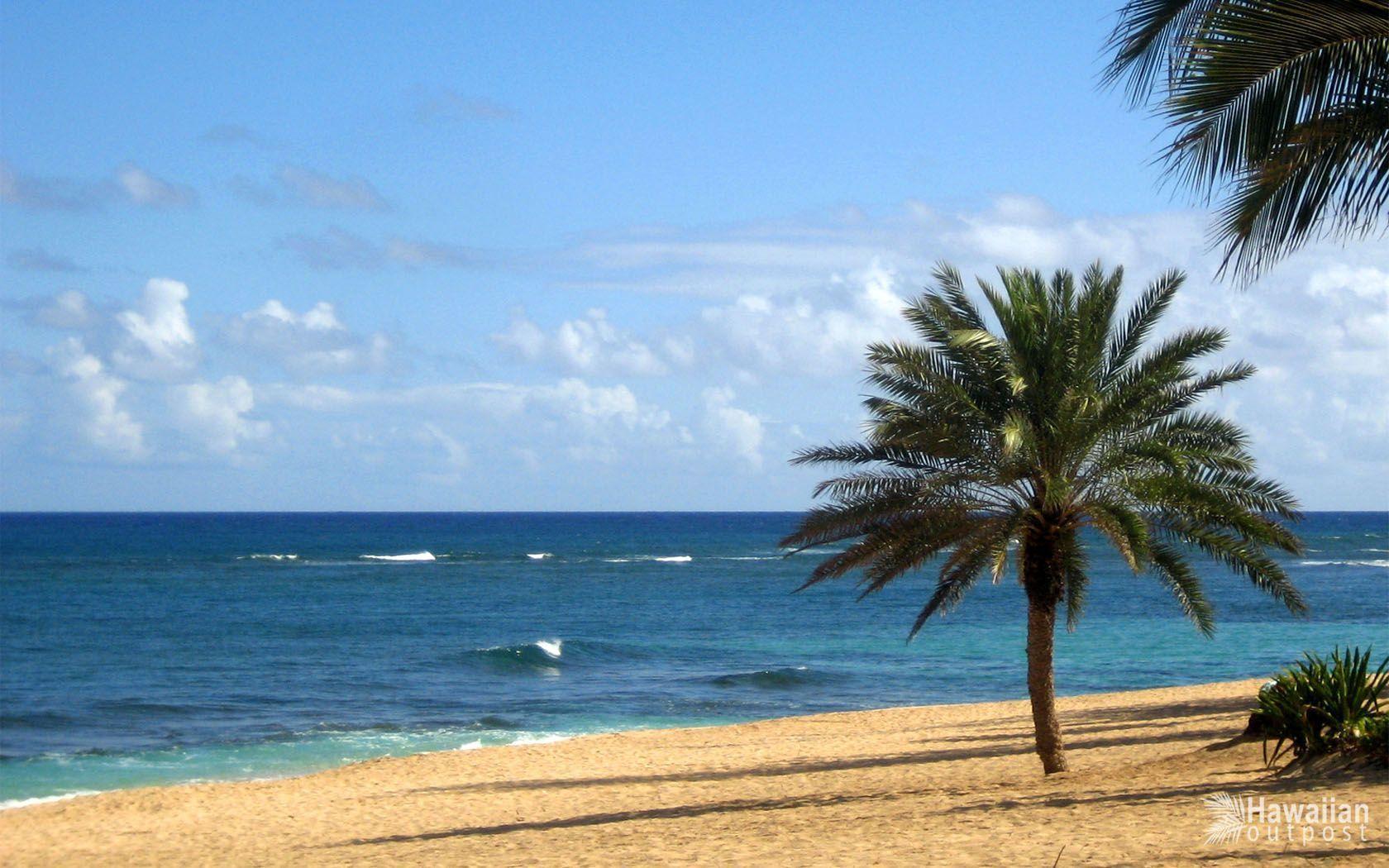 Scenic Beach Image Hawaii desktop wallpaper 1600x Scenic