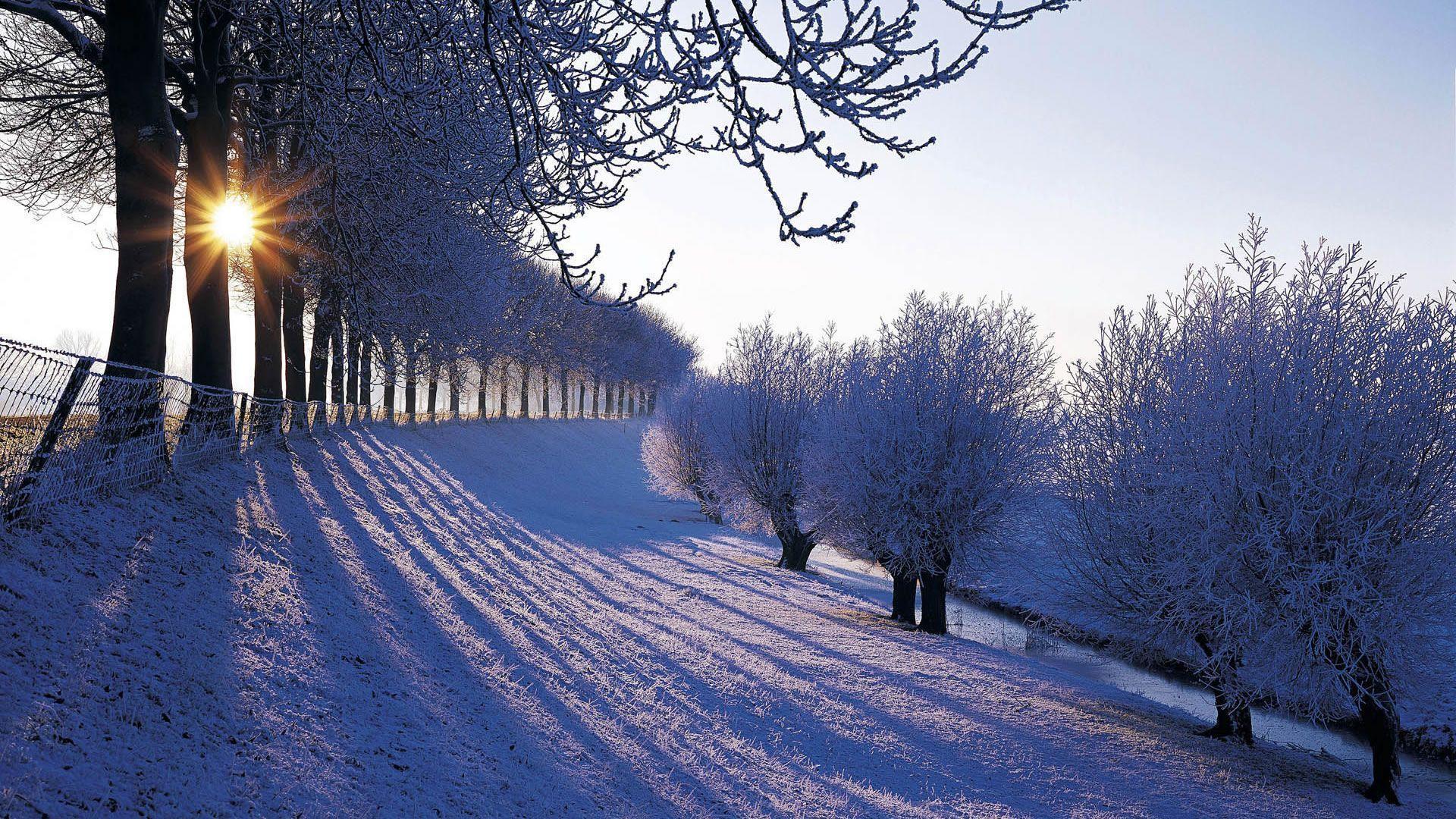 Wallpaper For > Winter Landscape Background
