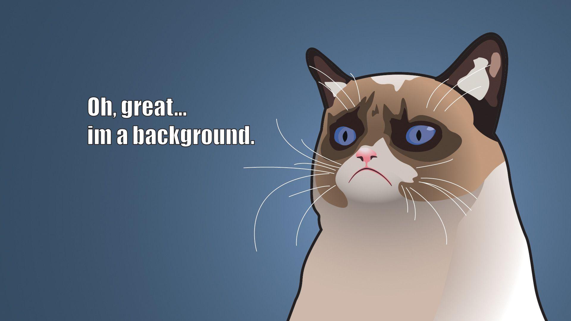 Grumpy Cat Meme Wallpaper Wide or HD