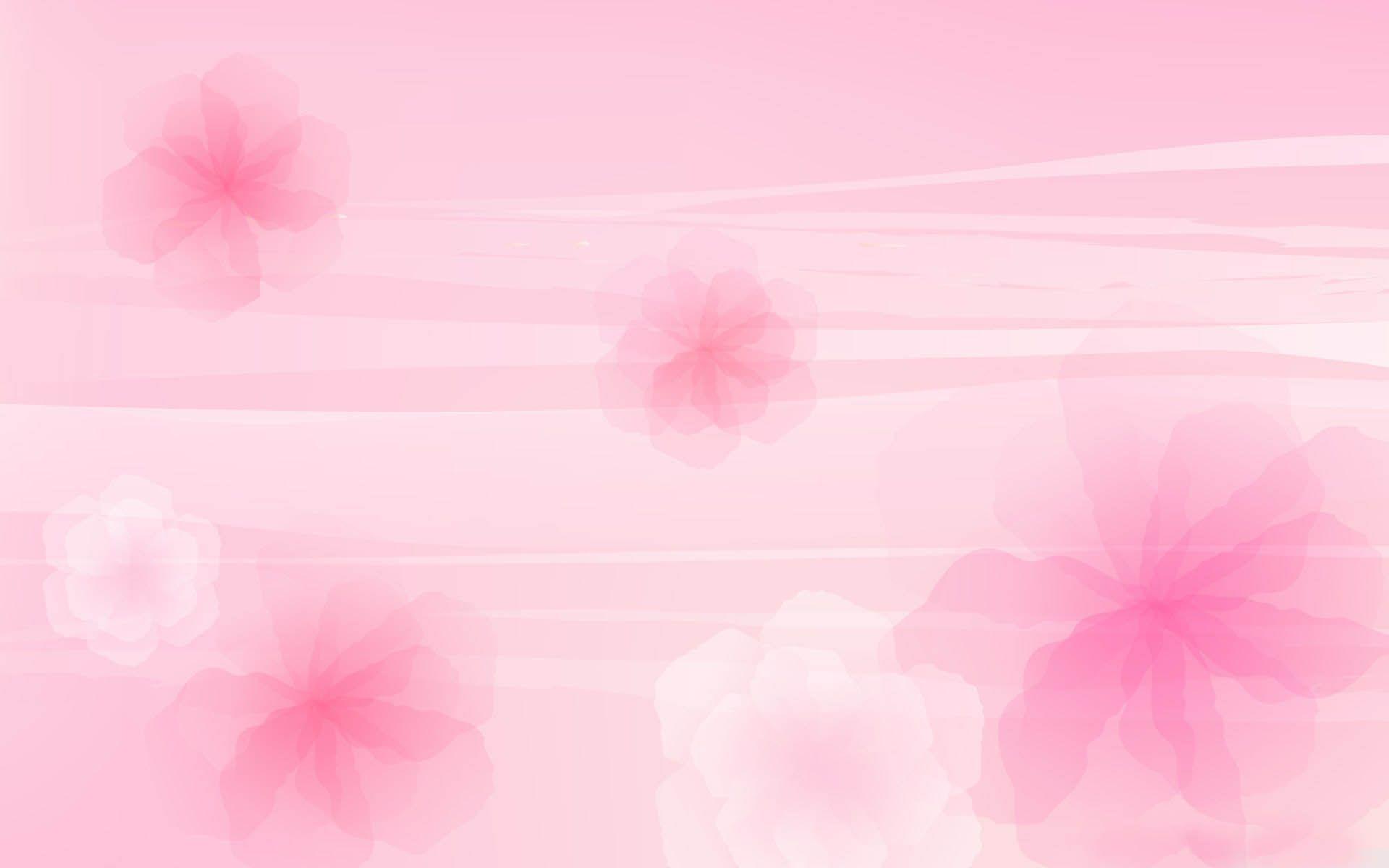Light Pink Flowers Background&;s Wallpaper 13728